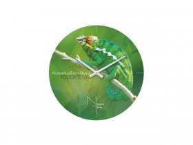 Часы настенные Nicole Time NT503 в Томмоте - tommot.mebel-nsk.ru | фото